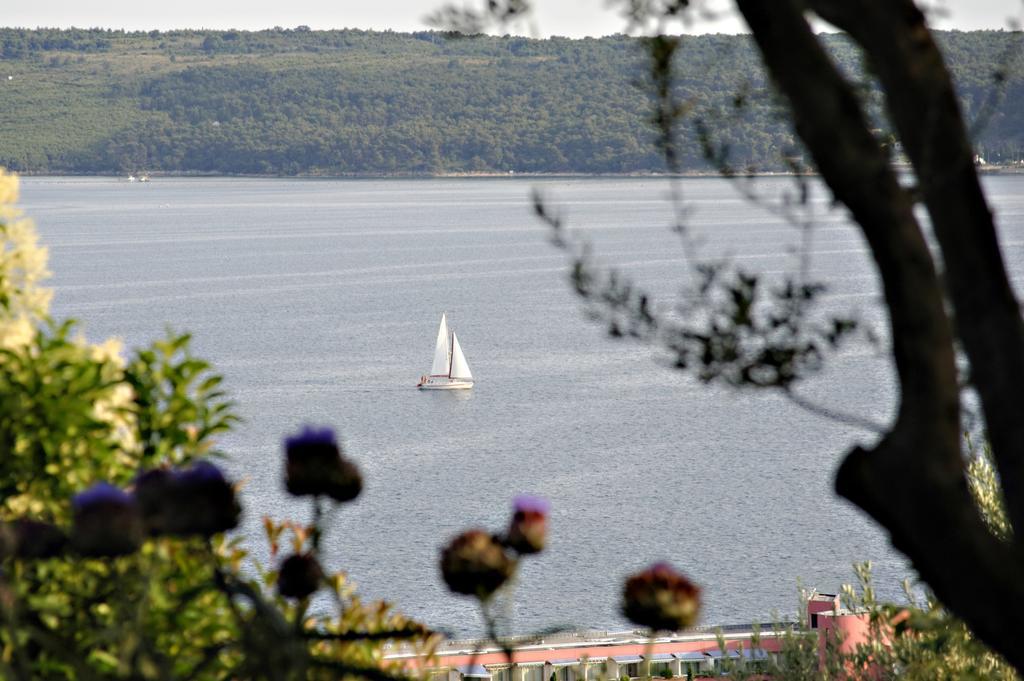 Apartment Rubin Piran Dış mekan fotoğraf